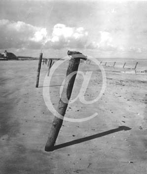 UTAH BEACH(50480) Seconde guerre mondiale Les asperges de Rommel avec des mines au bout sont plants sur l