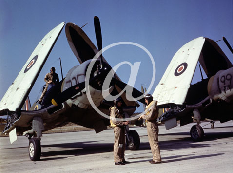 inconnu() Seconde guerre mondiale US Navy en couleurs - Srie 80-GK- : Deux chasseurs sur une piste les ailes replies.
